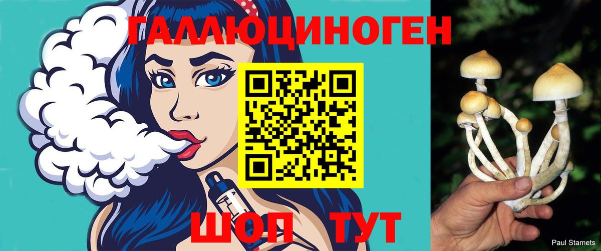 Псилоцибиновые грибы ЛСД Кызыл
