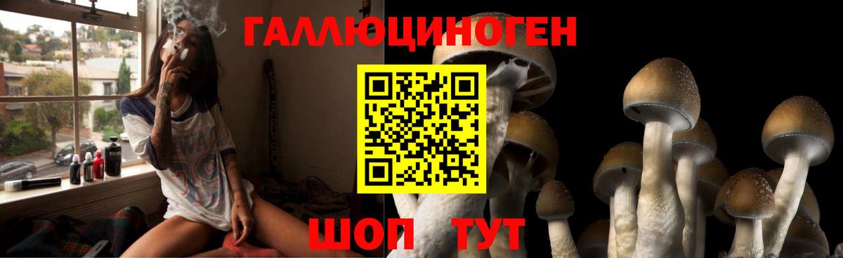 Кызыл  Галлюциногенные грибы Cubensis  Галлюциногенные грибы Cubensis  Вход с VPN 